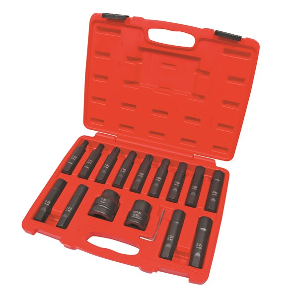 Toledo Insert Bit Socket Master Set - 16 Pc.