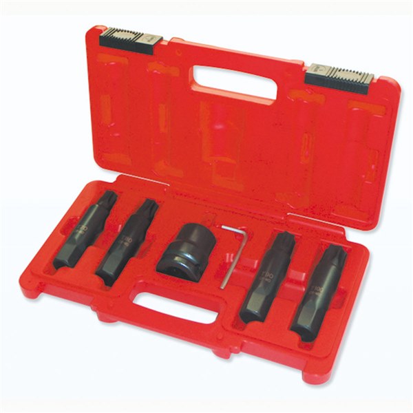 Toledo Insert Bit Socket Set - Torx 6 Pc.