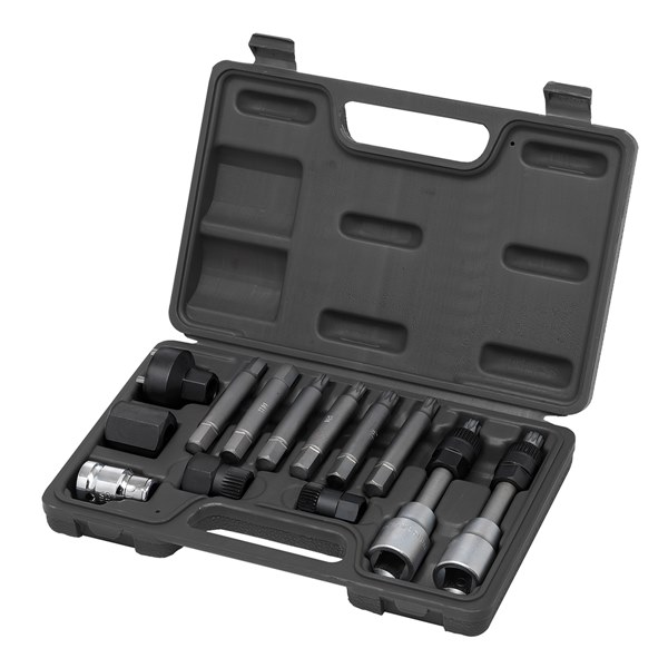 Toledo Alternator Bit Set - Universal