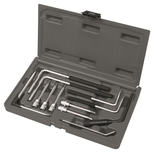 Toledo Air Bag Removal Kit