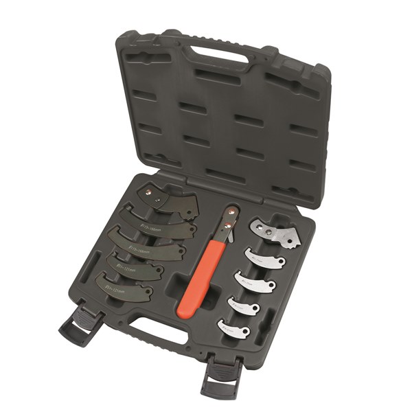 Toledo C-Hook Wrench Set - Ratcheting Interchangeable Head 19-166mm