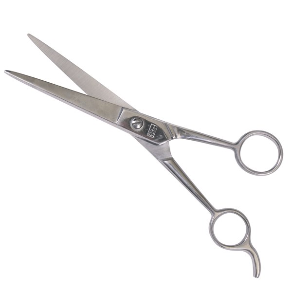Toledo Hairdresser's Scissors