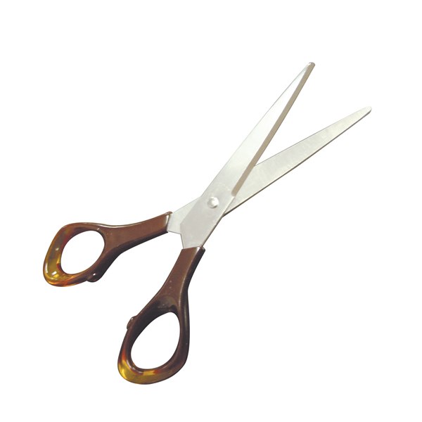 Toledo Household Scissors - Premium Option Stainless Steel 75mm