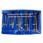 Rennsteig Screw Extractor Set Piece